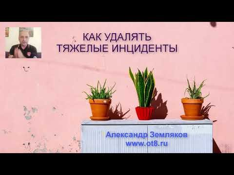 что такое инграмма