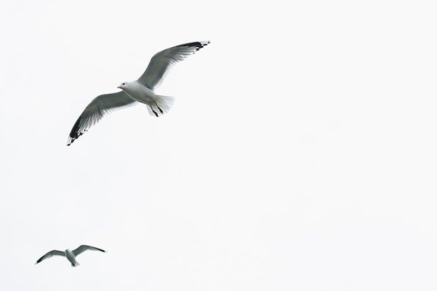 Духовный процессинг решает проблему полностью