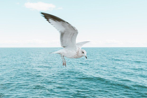 Реактивный ум "висит" на сожалении