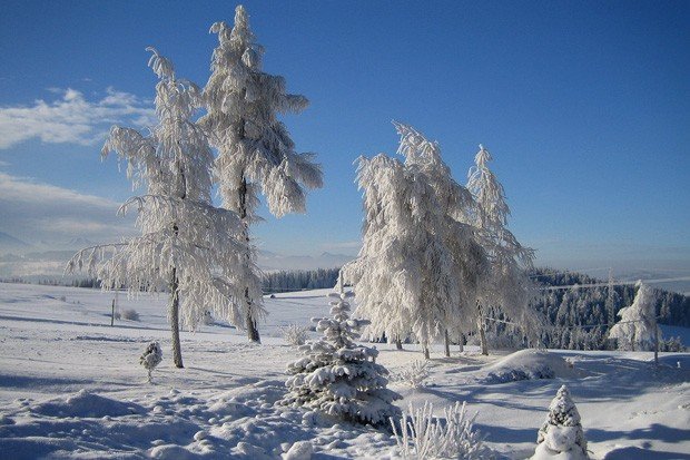 как избавиться от сожаления