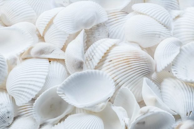 Ложные представления старой школы процессинга