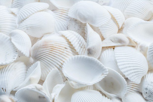 Ложные представления старой школы процессинга