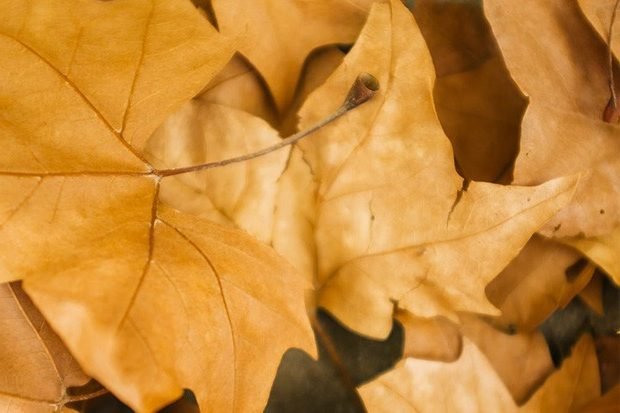 Психология саморазвития – Основные понятия для духовного развития