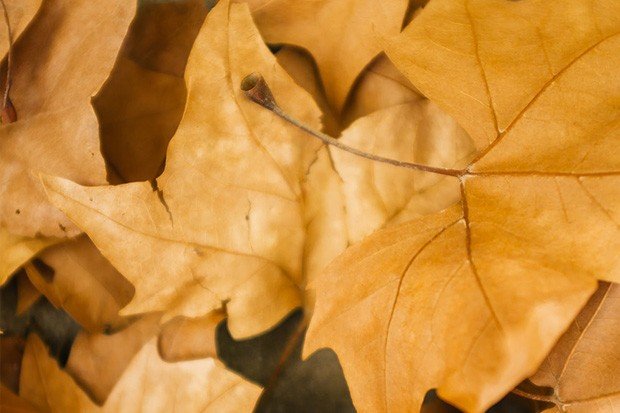 Психология саморазвития &ndash; Основные понятия для духовного развития