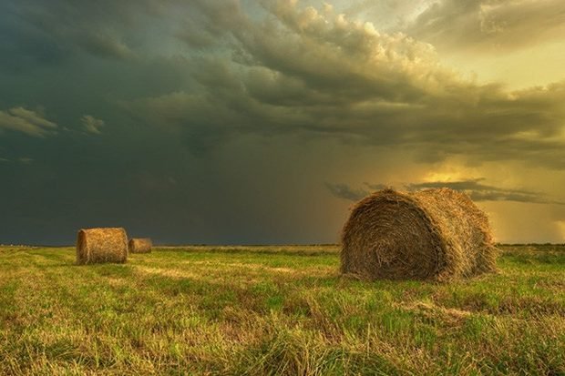 Случай из сессии