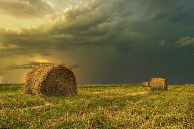 Случай из сессии