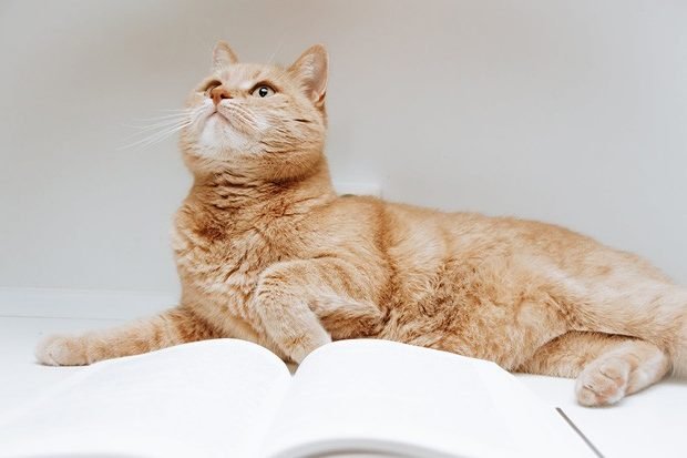 Духовный процессинг работает с шаблонами мышления и поведения