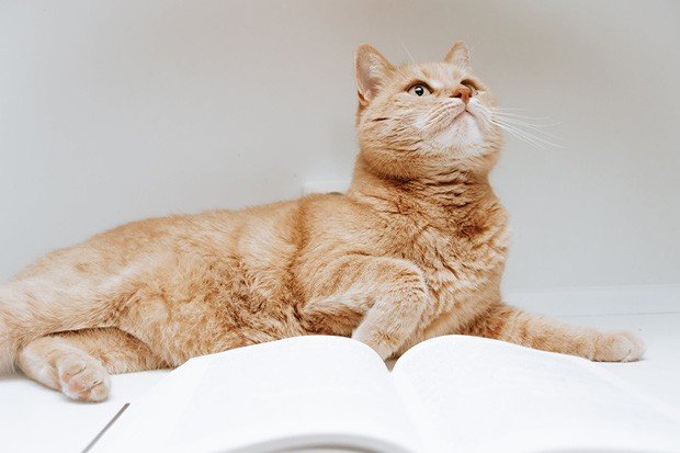 Духовный процессинг работает с шаблонами мышления и поведения