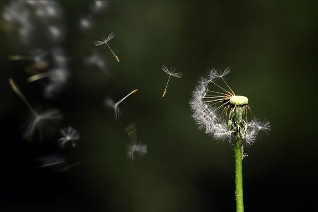 Вы лучше всех там, где у Вас естественная предрасположенность