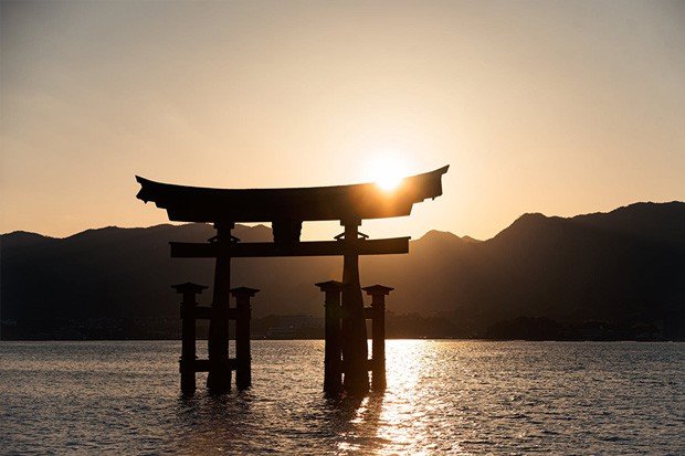 Как появляется ответ