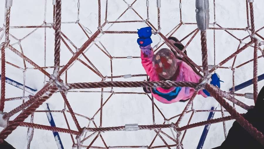 высший процессинг